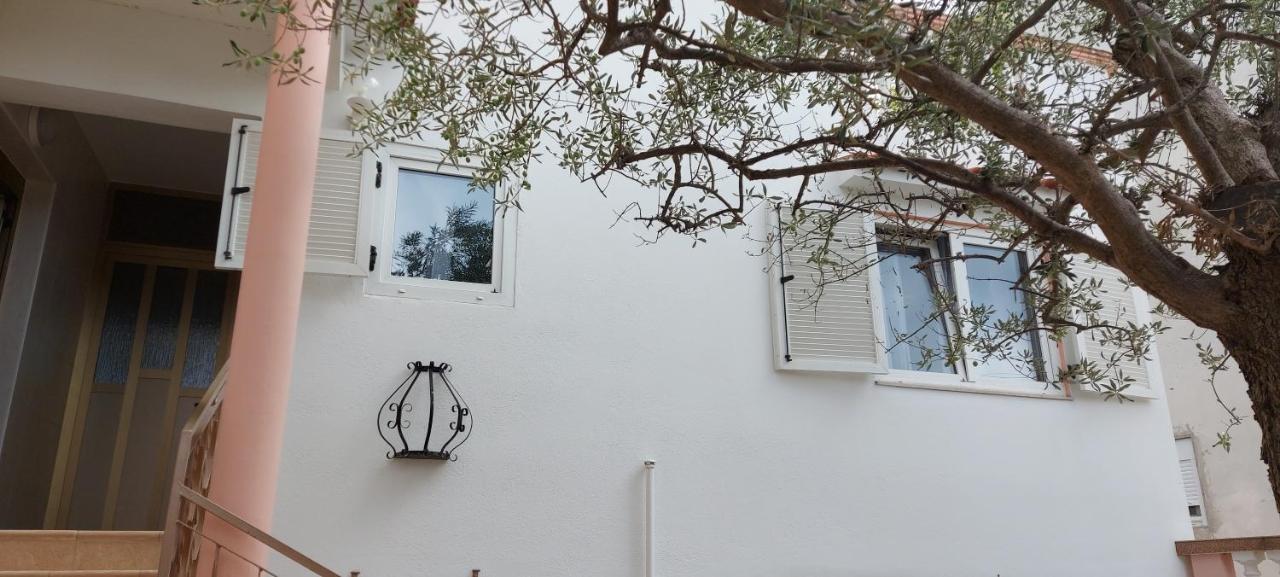 Ferienwohnung Olive Tree Zadar Exterior foto